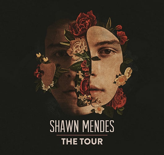 More Info for Shawn Mendes Announces Global Arena Tour For 2019